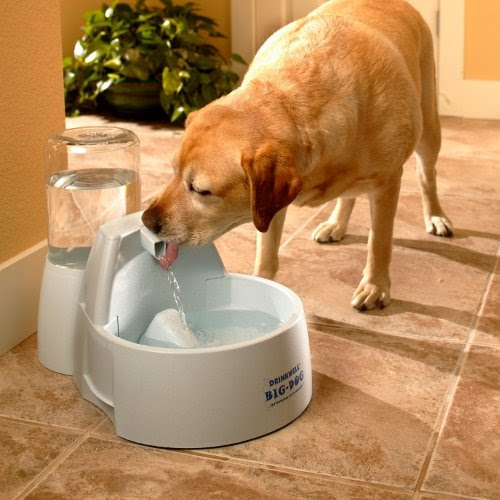 Best Reviews DrinkWell Big Dog Multiple Pet Water Fountain