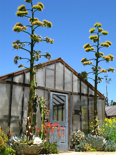 Gamble Garden. Palo Alto, CA