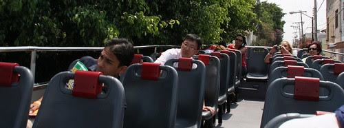 Guadalajara bus tour - low branches 2
