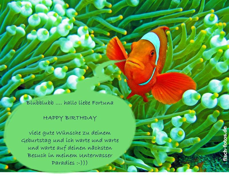alles gute zum geburtstag in allen sprachen der welt