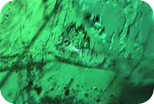 emerald colombia