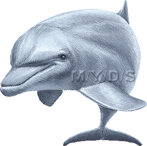 半道海豚 ハンドウ イルカ バンドウ イルカのイラスト 条件付フリー素材集