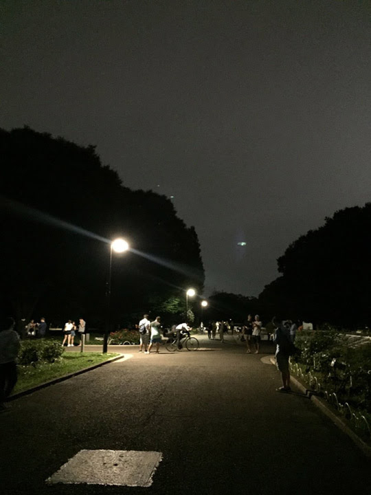 ポケモンgoにより深夜の公園がお祭り騒ぎにｗｗｗｗｗｗ ポケモン情報ねっと