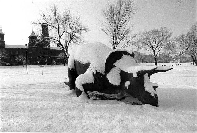 Uncle Beazley in the Snow