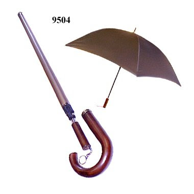 Umbrella Cane