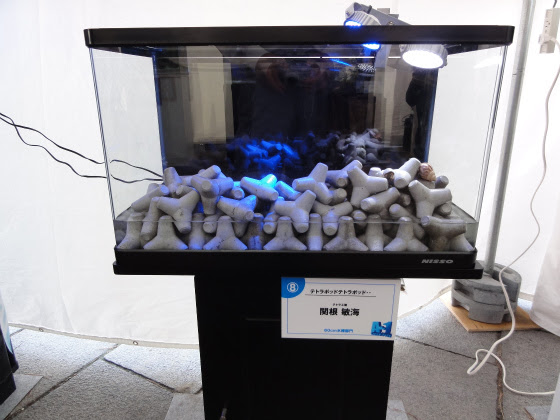 アクアデイズ お台場eco Aqua 海の学校10 に行ってきました