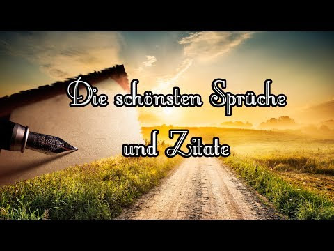 beste zitate beziehung