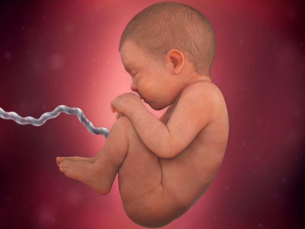 pregnancy week 41 amniotic fluid_4x3