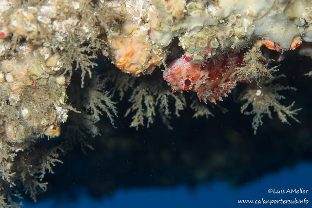cuevas buceo menorca