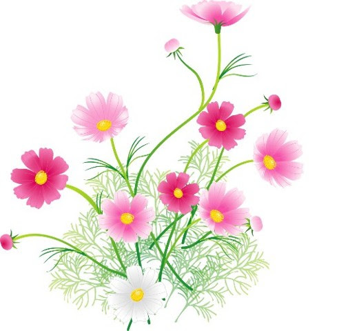 秋の花と果実 An S Cafe