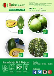 Terbaru 28+ Agribisnis Alpukat