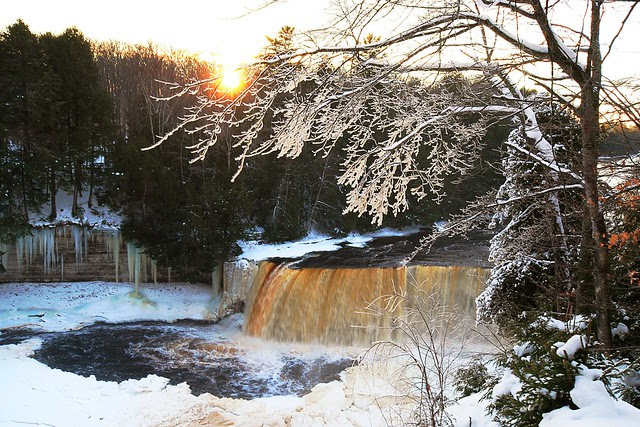 Tahquamenon falls in winter, with an ice-covered tree.