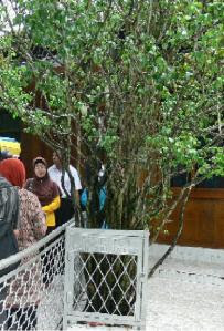 http://anehdidunia.com