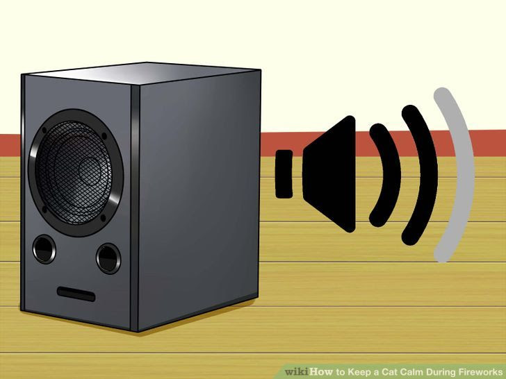 Keep a Cat Calm During Fireworks Step 10.jpg