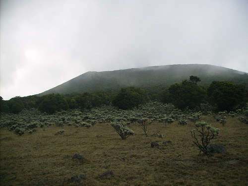 GUNUNG GEDE PANGRANGO JIMZBLOG GUNUNG GEDE PANGRANGO JIMZBLOG
