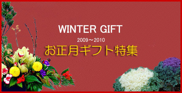 お正月 お年賀の花 フラワーギフト 配達は福岡 花のaiflower