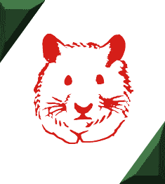 ハムスターの印鑑 かわいいイラストのハンコとオリジナルのデザインの印鑑の作成と通販 Hamster