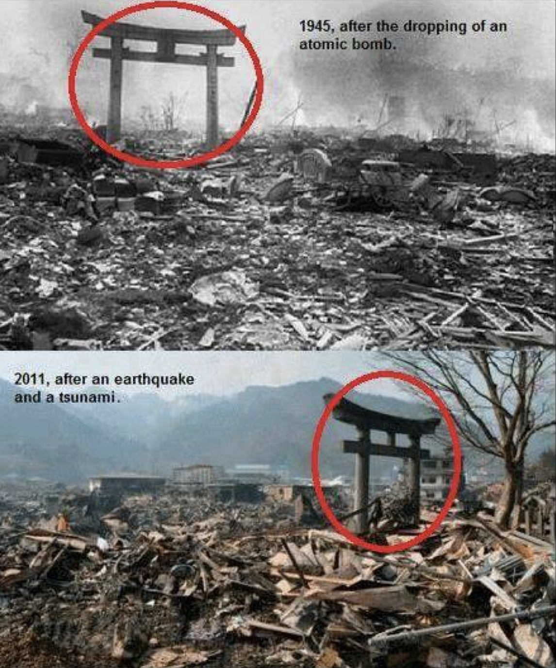 海外の反応】 パンドラの憂鬱 海外「日本の神々が守ったんだ」 神社の 