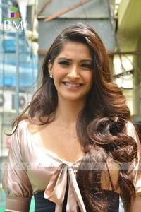 Neerja (2015) Hindi Movie Watch Online
