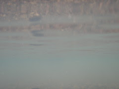 Snively Underwater