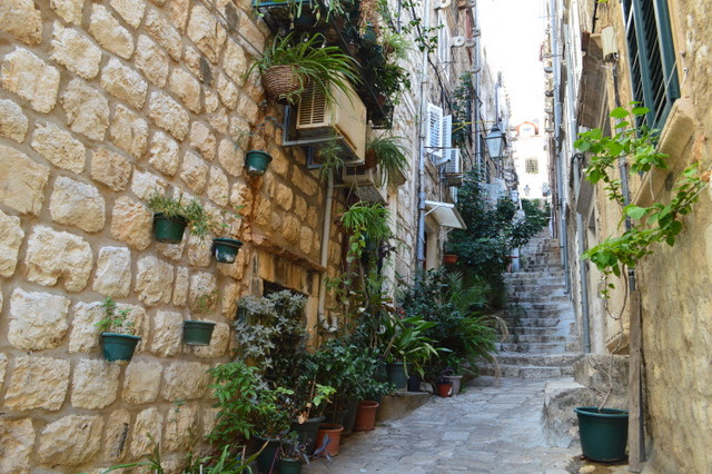 dubrovnik-cat-street (1) - クロアチア観光・旅行サイトCROTABI ...