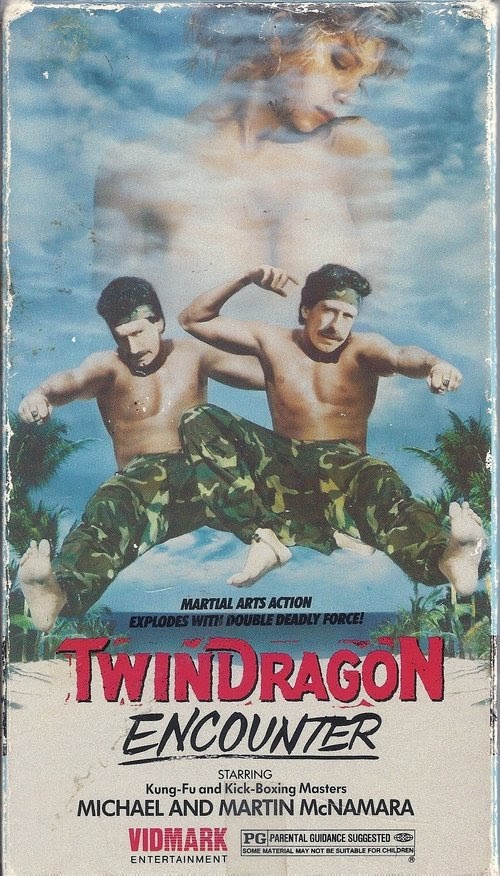 Como Assistir Twin Dragon Encounter 1986 Dublado Online Grátis 4K
Online 4K HD