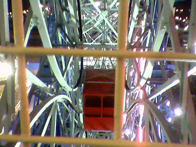 One of the swinging cages, viewed from my stationary cage