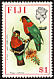Collared Lory Phigys solitarius