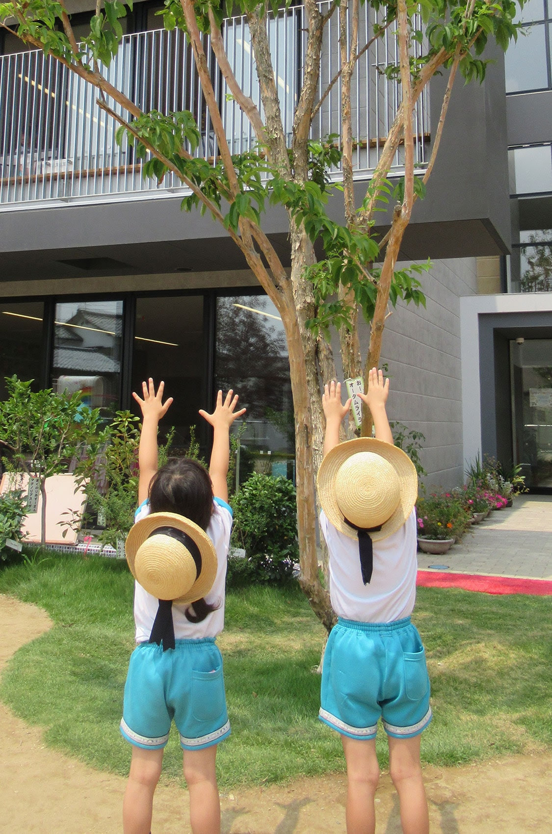 エンゼル幼稚園 トップページ