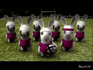 Rabbid Rugby photo RabbidRugbyMuri030.gif