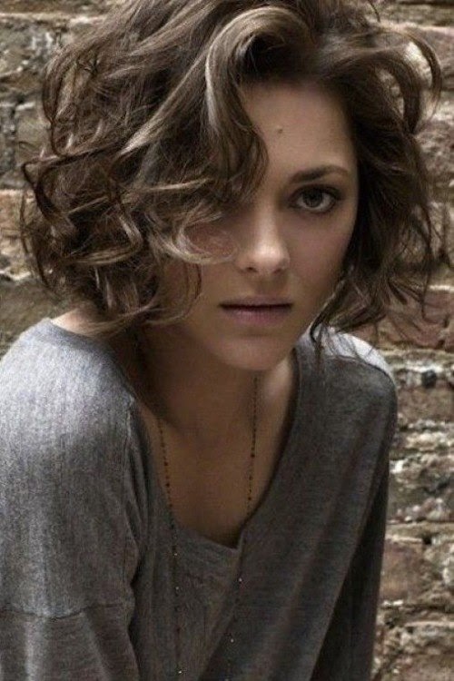 Hairstyles Short Curly Hair / Short curly perm hairstyles : In this guide, you will find 77 of the best men's haircuts for curly hair for short, medium, and long lengths.