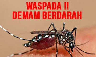 Ambon, Malukupost.com - Dinas Kesehatan kota Ambon dinilai kurang respons dan tanggap terhadap keluhan masyarakat kelurahan Batumeja, Kecamatan Sirimau atas penyakit demam berdarah dengue (DBD) yang menyerang sejumlah anak-anak. "Cucu saya sempat terkena DBD yang disebabkan gigitan nyamuk aides aegipty dan menjalani perawatan medis di Rumas Sakit Sumber Hidup pada 19 Oktober 2016, kemudian ada beberapa anak tetangga juga mengalami hal serupa," kata warga Kelurahan Batumeja, Ny. Agnes Renyut, di Ambon, Selasa (2/11). Atas kejadian tersebut, Agnes sempat melaporkan kejadian ini kepada Kadis Kesehatan Maluku dan meminta adanya tindakan pencegahan dari petugas Dinkes ke lapangan berupa penyemprotan atau pun pengasapan. "Kami sudah berkoordinasi dengan kadinkes Maluku dan meneruskannya kepada Dinkes Kota Ambon yang punya wilayah kerja. Namun, sampai sekarang belum ada tindakan yang dilakukan," tandas Agnes yang juga anggota DPRD Maluku ini.