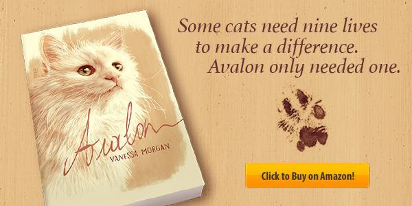 bookshop cats book