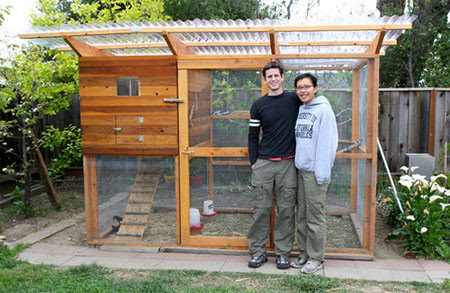 ... Matt built their own backyard chicken coop using The Garden Coop plans