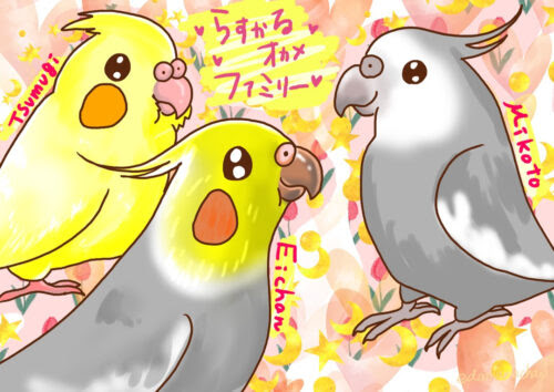 イメージ