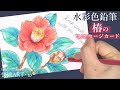 【人気ダウンロード！】 椿 イラスト リアル 228309-椿 イラスト リアル