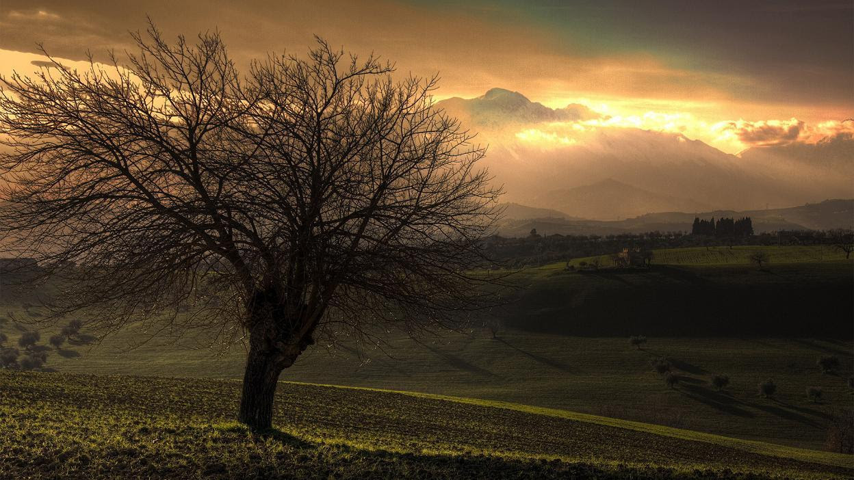 Natural Landscapes Photo