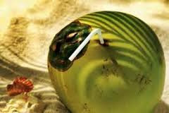 rambut kutu untuk nipis jeruk manfaat Air Tua Kelapa Untuk Manfaat Rambut