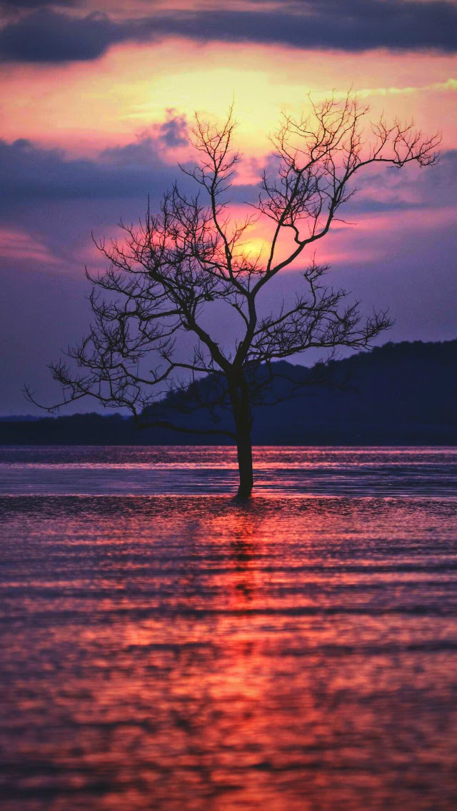 Wallpaper Iphone用壁紙13枚 14 07 01 自然 癒やし Bitzedge