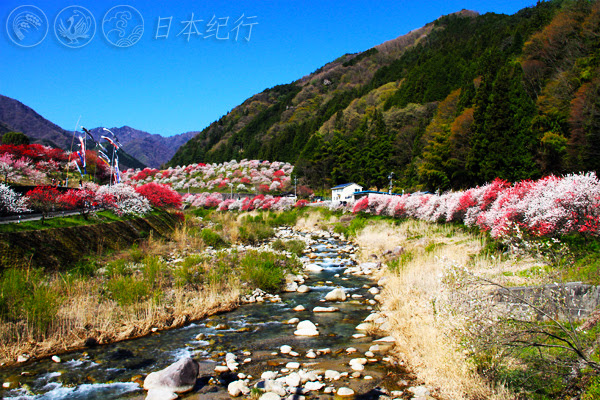 日本桃花源纪行 长野县阿智村 日本纪行travel In Japan