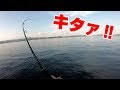 ボイル 釣り 308749-ボイル 釣り 英語