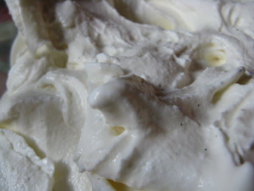 Homemade Gelato
