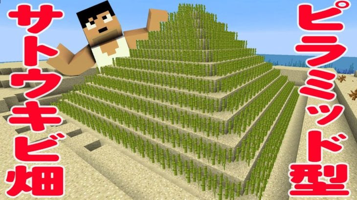 マイクラ サトウキビ 畑 マイクラ 各種 畑 の作り方や育て方など農業の基本を解説 ひきこもろん