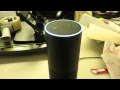 Who's that Pokemon? Amazon Echo works as a Pokedex