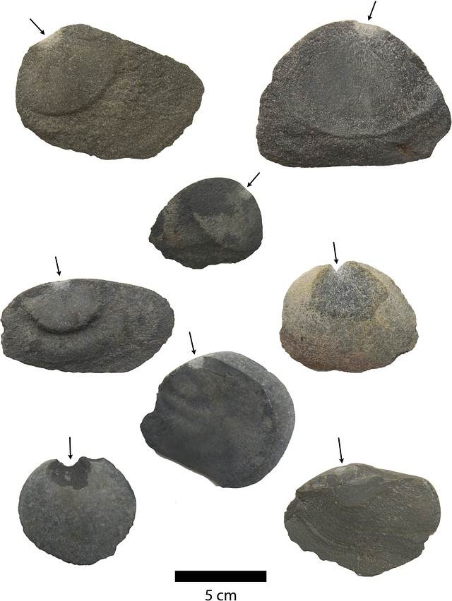 Antiguas piezas de basalto que muestran marcas y bulbos de percusión.