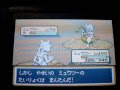 ポケモン ファイア レッド ミュウツー 353565-ポケモンgo ミュウツー 色違い 確率