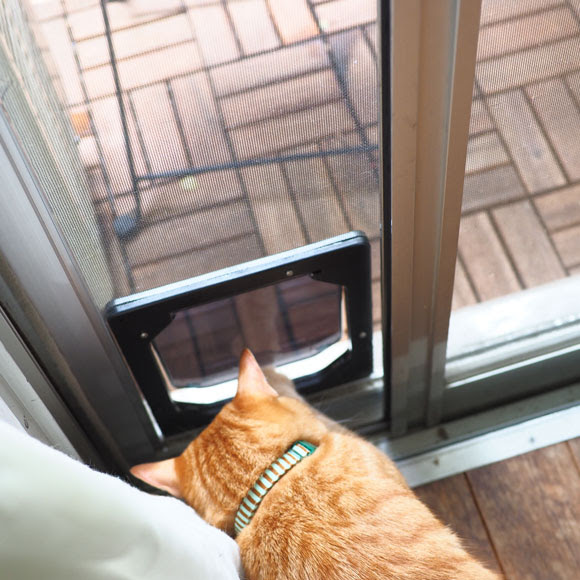 ボク通れたニャ 網戸キャットドア 別冊 いいひブログ