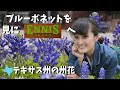 ブルー ボンネット 399747-ボンネット ブルー