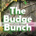The Budge Bunch Button