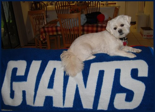 09-20-09-Go-Giants